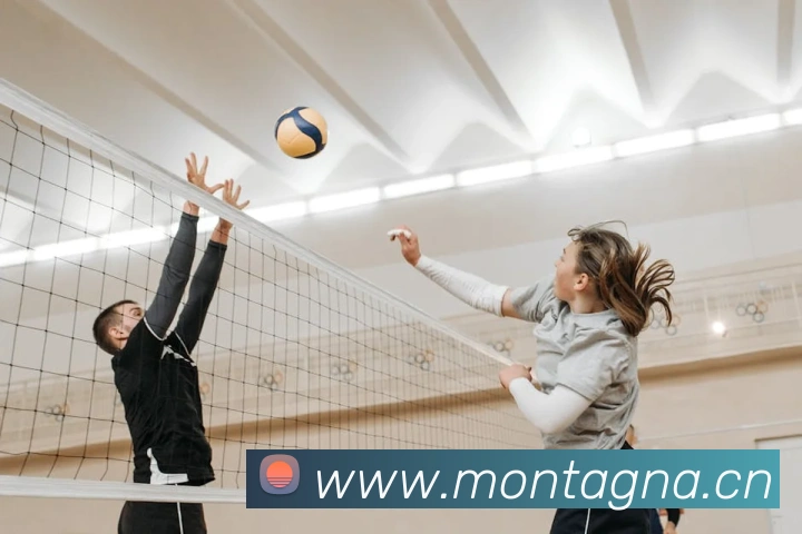 爱游戏ayx首页APP 高清赛事图